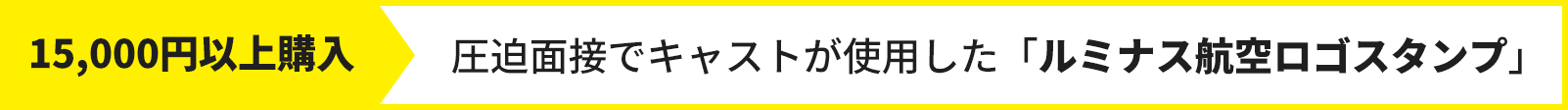 15,000円以上購入
