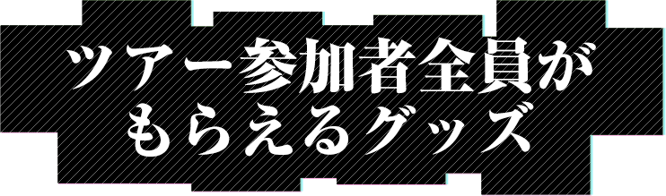 ツアー参加者全員がもらえるグッズ