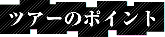 ツアーのポイント